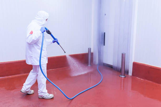 Trusted North Lakeport, CA Pressure Washing Experts